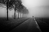 Bernhard Saalfeld - Hand in Hand
